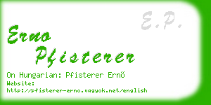 erno pfisterer business card