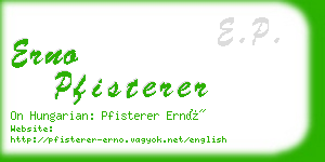 erno pfisterer business card